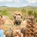 Exklusive Am Rursee Inmitten Der - Mlab Relax Eifel سيمراث