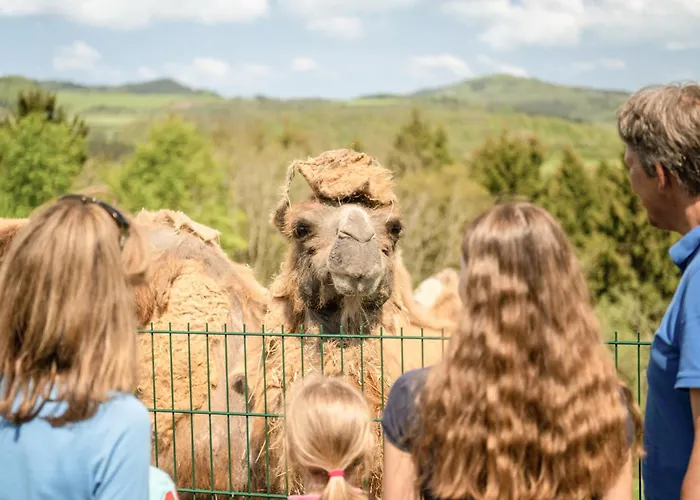 Exklusive Am Rursee Inmitten Der - Mlab Relax Eifel Simmerath