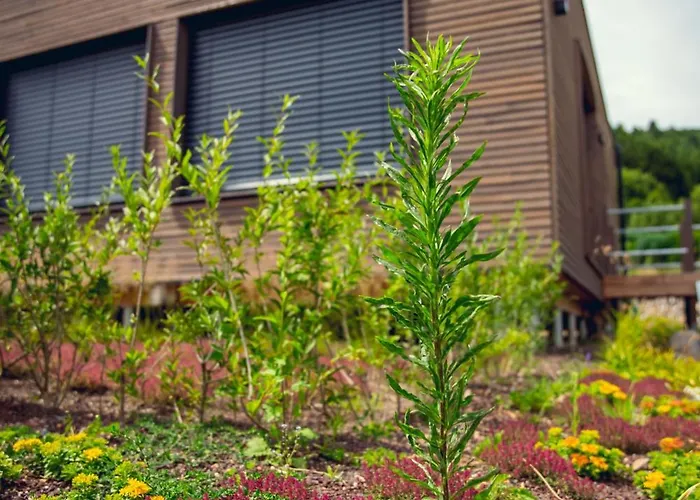 Exklusive Am Rursee Inmitten Der - Mlab Relax Eifel Simmerath